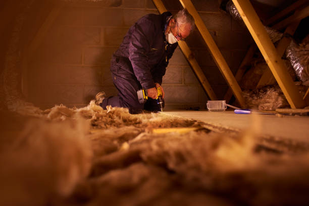 Professional Insulation Contractor in AL